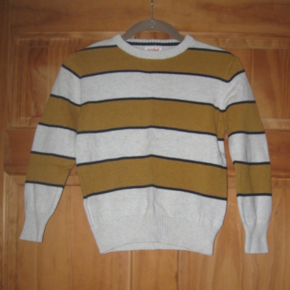 Boys Cat & Jack Striped Sweater